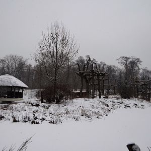 Chimpanzee enclosure