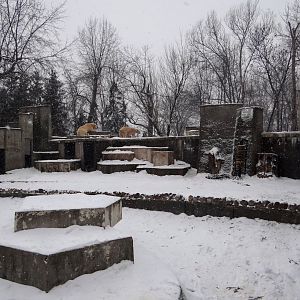 Polar Bear enclosure