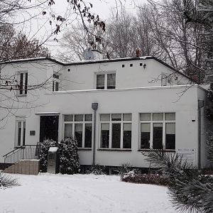 Villa under the Crazy Star