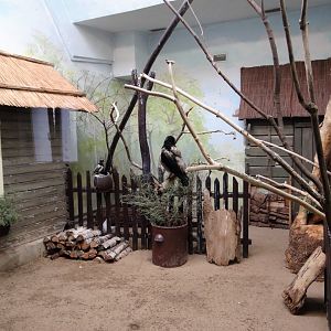 European birds aviary