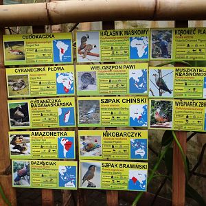 Signage in Free-flight aviary