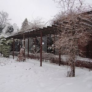 Bird House - outdoor aviaries