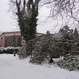 Bird House (Free-flight aviary)