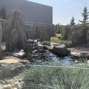 Penguin Plunge (Outdoor Yard)