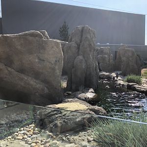 Penguin Plunge (Outdoor Yard)