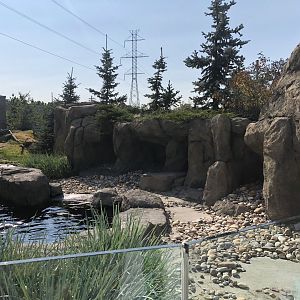 Penguin Plunge (Outdoor Yard)