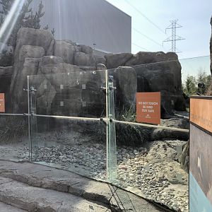 Penguin Plunge (Outdoor Yard)