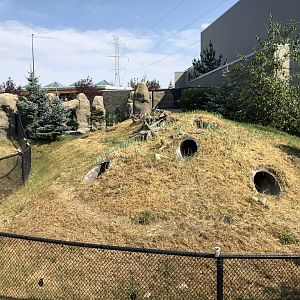 Penguin Plunge (Outdoor Yard)