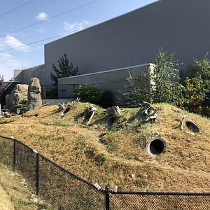 Penguin Plunge (Outdoor Yard)