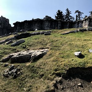 Rocky Mountain Goat Exhibit