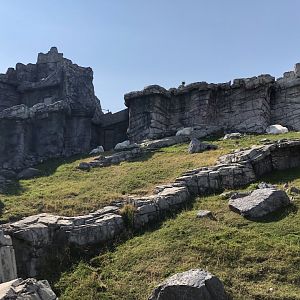 Rocky Mountain Goat Exhibit