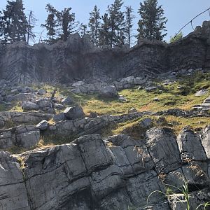 Rocky Mountain Goat Exhibit