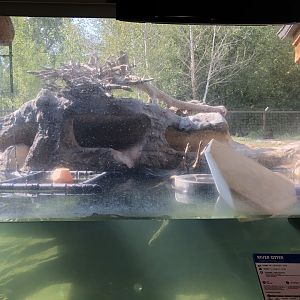 North American River Otter Exhibit