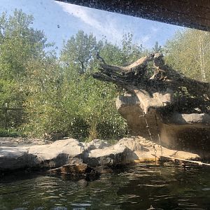 North American River Otter Exhibit