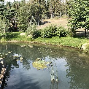Whooping Crane Exhibit