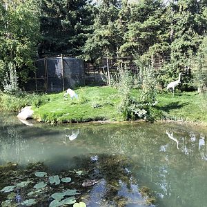 Whooping Crane Exhibit