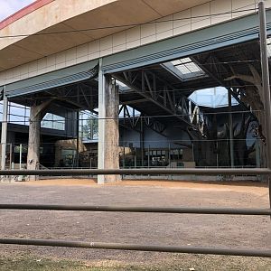 Outdoor Giraffe Yard