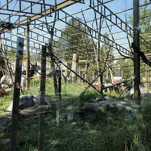 Japanese Macaque Exhibit