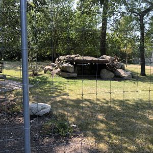 Japanese Serrow Exhibit