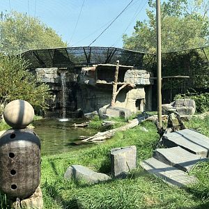 Snow Leopard Exhibit