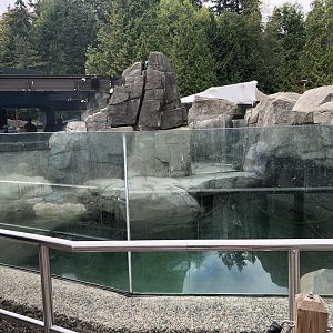 Sea Otter Exhibit