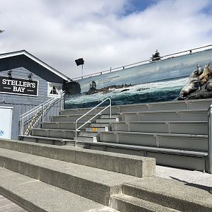 Steller’s Bay Seating Area