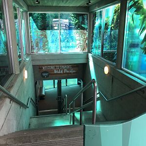 Stairway to Underwater Pinniped and Dolphin Viewing