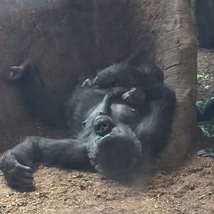 Hours-Old Charlie with Ngozi