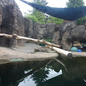 Polar Bear Exhibit