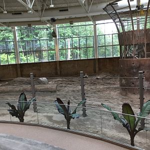 Elephant Lands (Indoor Exhibit)