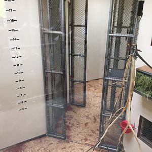 Giraffe Indoor Quarters