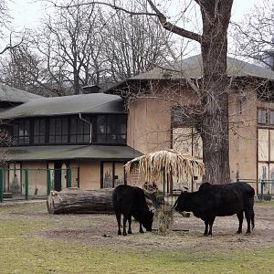 Former Giraffe/Elephant House