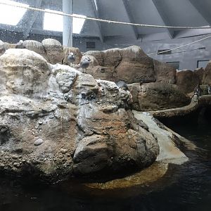 Penguinarium