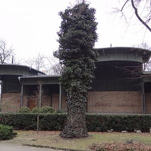 Former Lion House during renovation