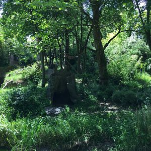 Ring Tailed Lemur Island
