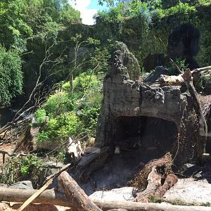 Sloth Bear Exhibit #1
