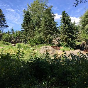 Grizzly Bear Exhibit