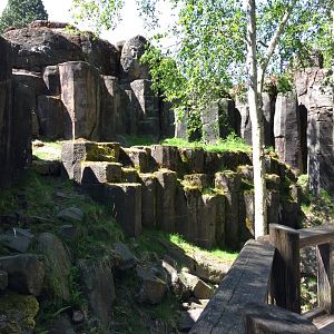Rocky Mountain Goat Exhibit