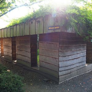 Outside of the Eurasian lynx exhibit with viewing windows, 2020-09-12