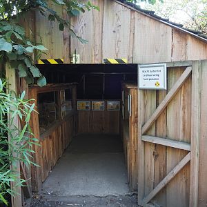 Potbelly pig, Fantail pigeon and Rodent barn, 2020-09-12