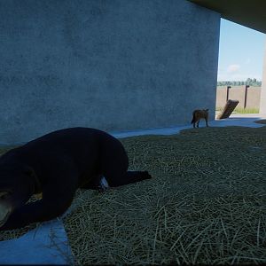 An interesting mixed species habitat