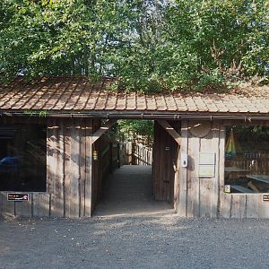Reeves' muntjac barn with visitor passageway, 2020-09-12