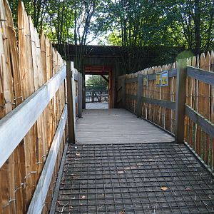 Reeves' muntjac and White-naped crane viewing area, 2020-09-12