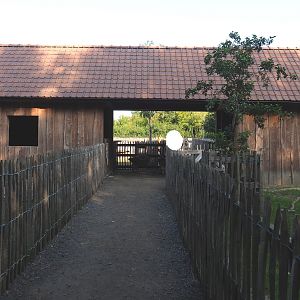 Petting zoo area - Alpaca, goat, donkey and turkey barn with visitor walkway, 2020-09-12