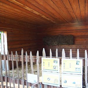 Domestic donkey and Ronquìeres turkey stable, 2020-09-12