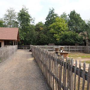 Walkway in the petting zoo area, between the Alpaca/Pygmy goat and pony paddocks, 2020-09-12