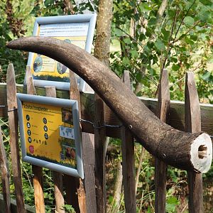 Scottish Highland cattle signage with a cattle horn, 2020-09-12