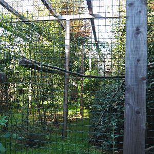 Great horned owl aviary, 2020-09-12