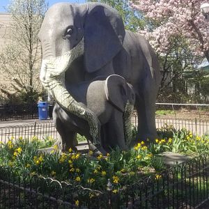 Philly - Main elephant statue with masks on