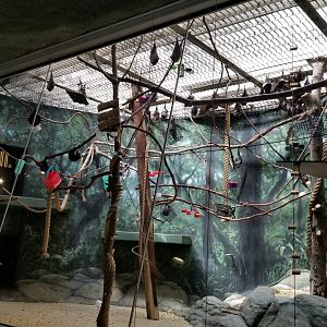 Philly - Bats now in center exhibit